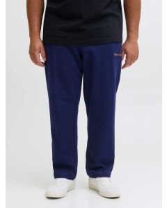 Jack & Jones Pantalone tuta Norrebro Plus Size Ocean Caven da Uomo