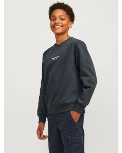 Jack & Jones Felpa girocollo stampata Forest River da Bambino