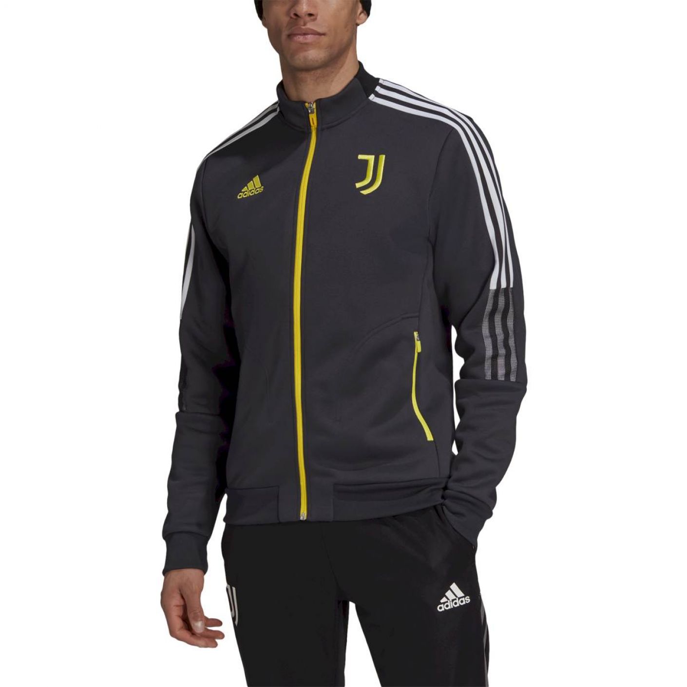 Adidas juventus jacket online