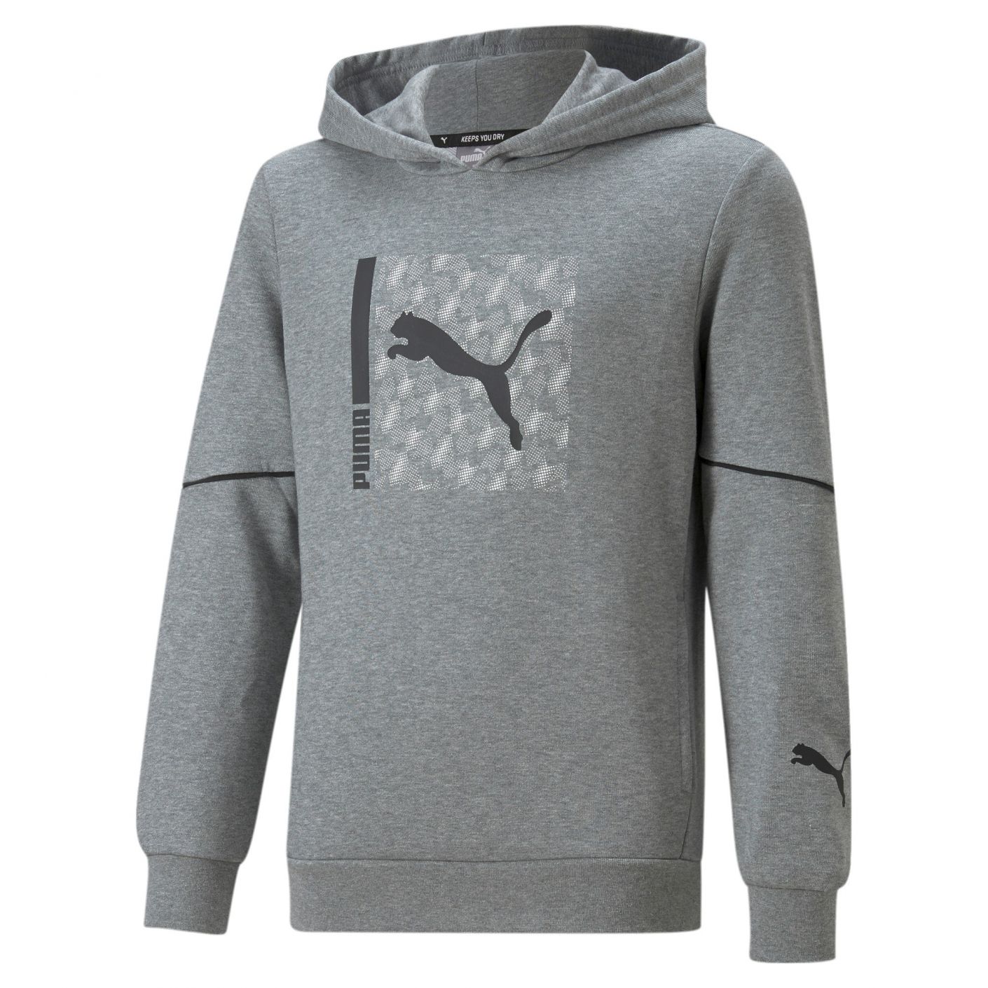 Puma Active Sports Hoodie tr Grey for Boys