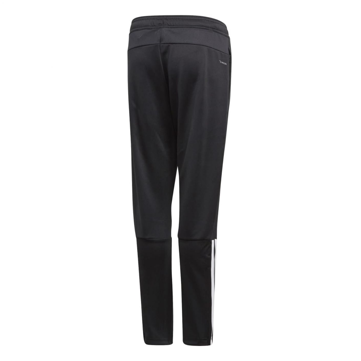 Adidas Regista 18 Training Pants