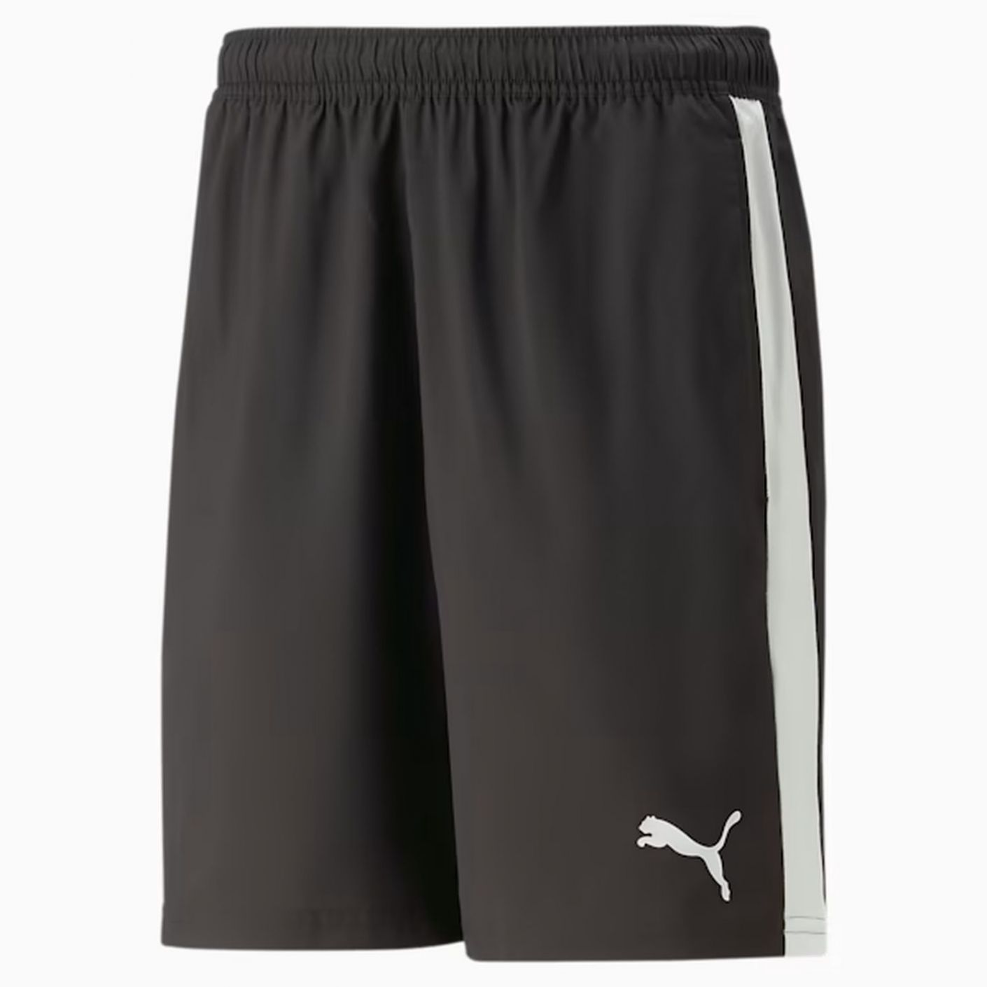 Puma Teamliga Multisport Shorts Black Men