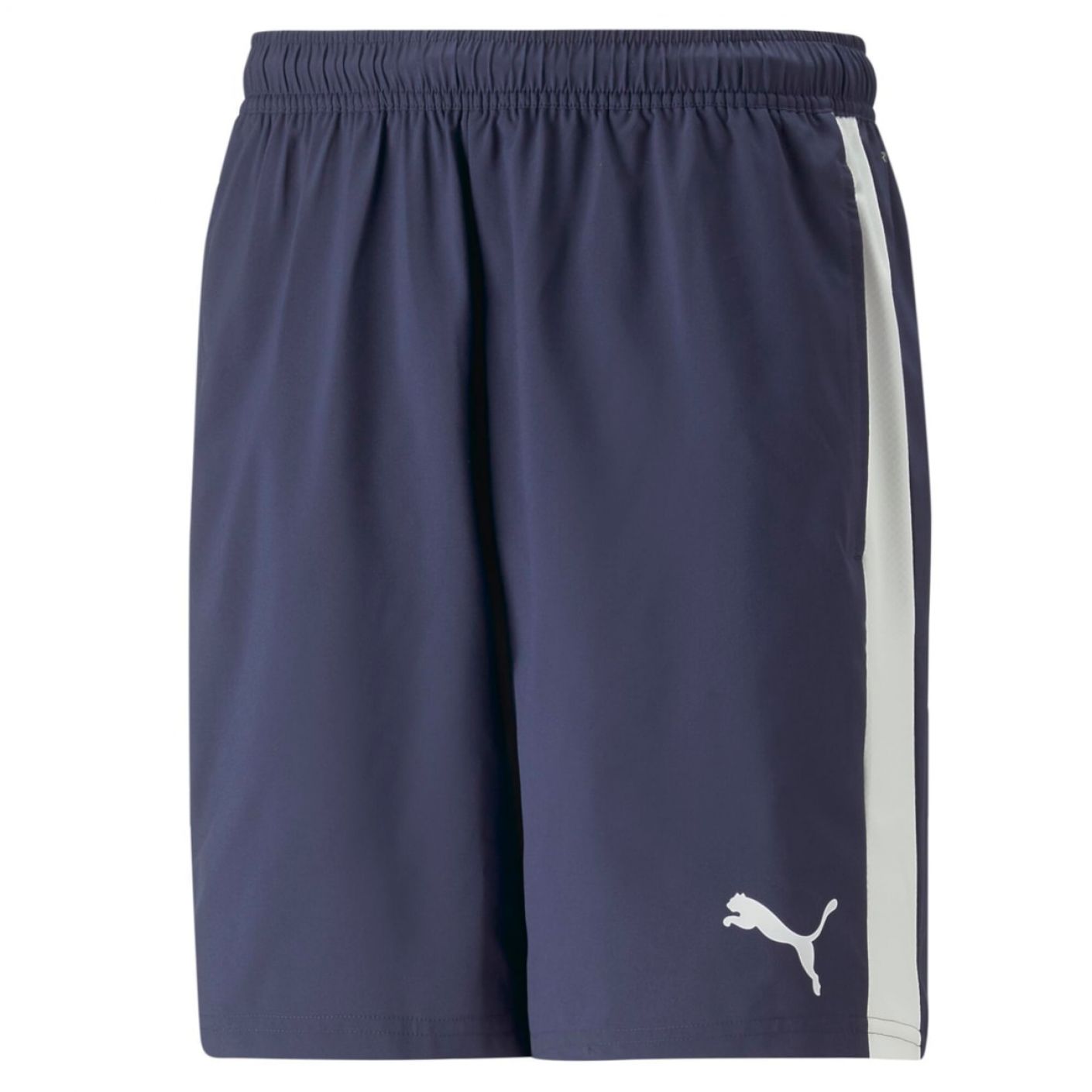Puma – Teamliga Padel-Shorts #06 931835