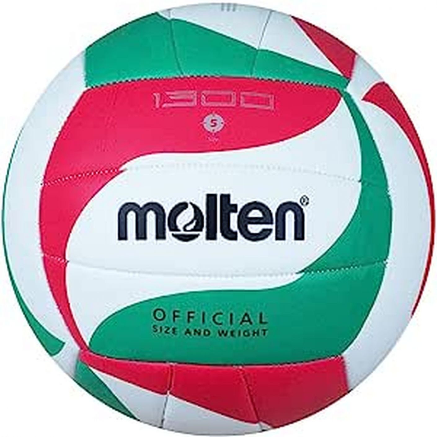 Molten Volleyball Ball V5M