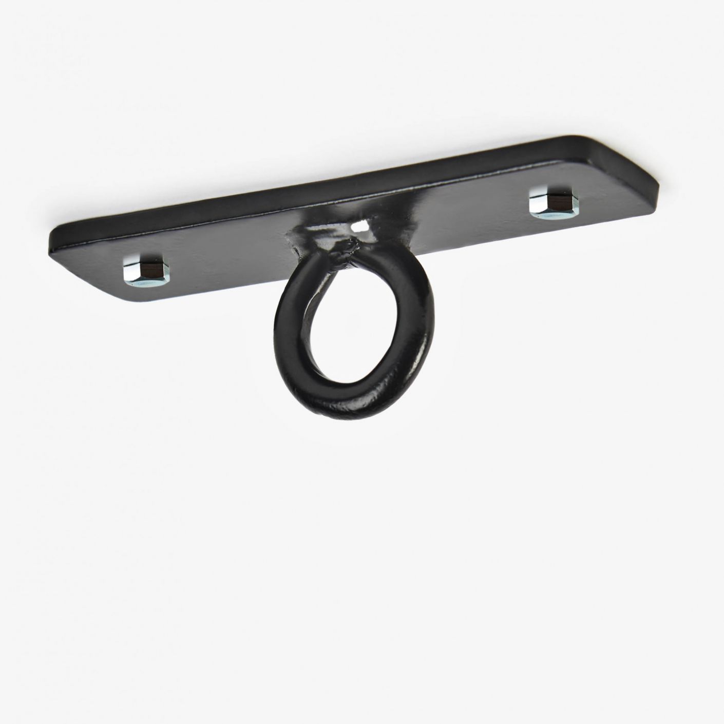 Lion Black Ceiling Mount