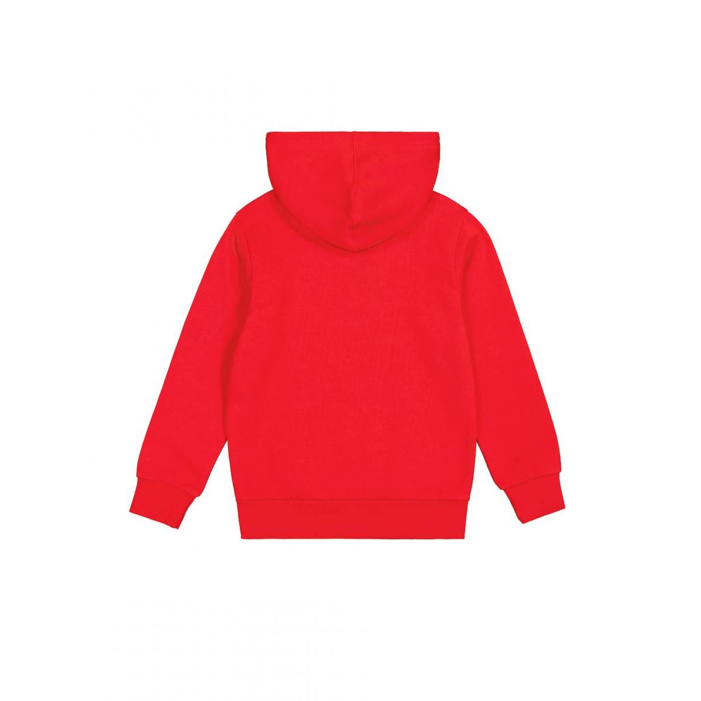 Champion Boys Hoodie