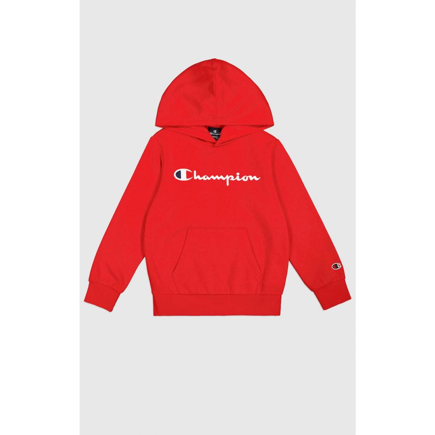 Champion Men's Hoodie