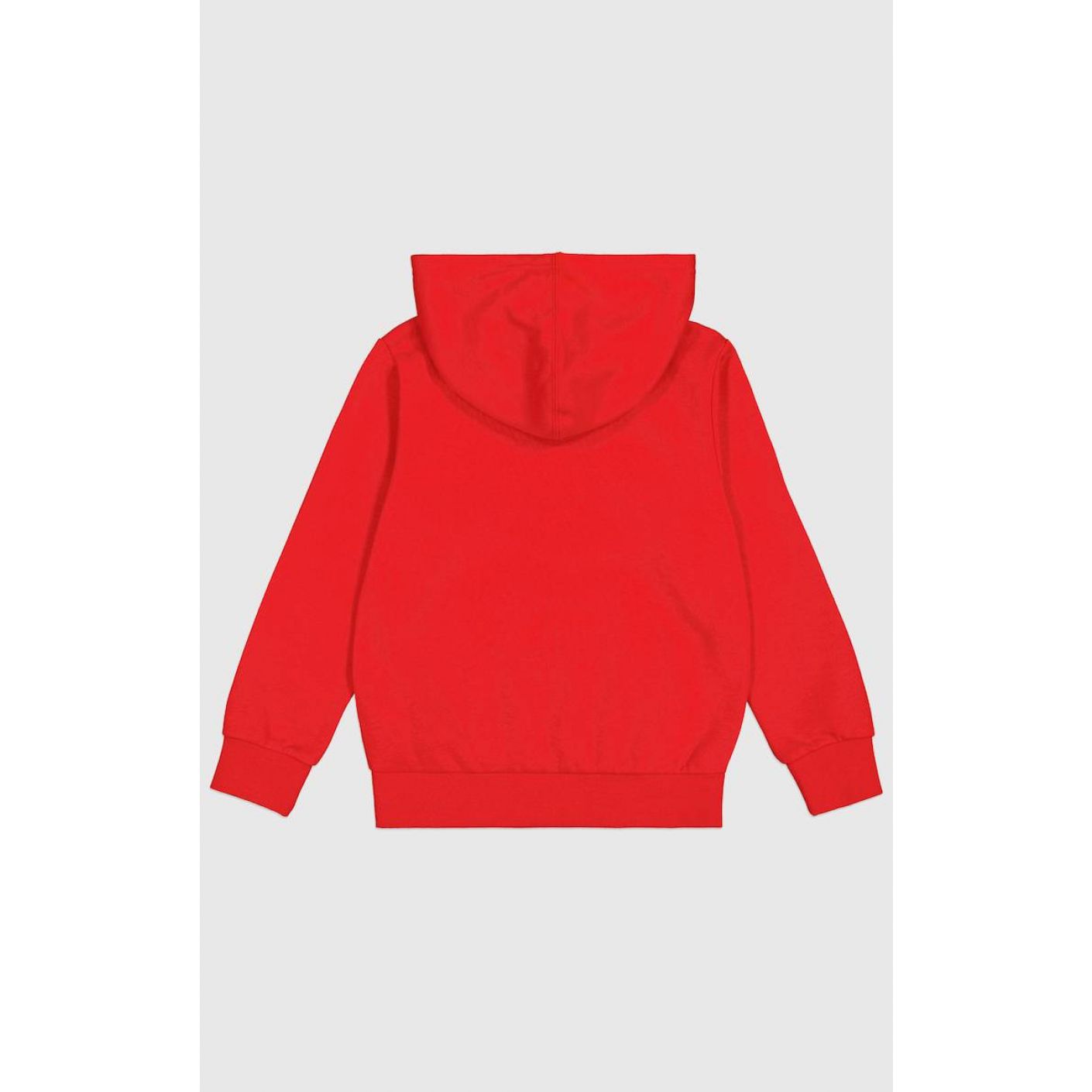 Champion Men's Hoodie