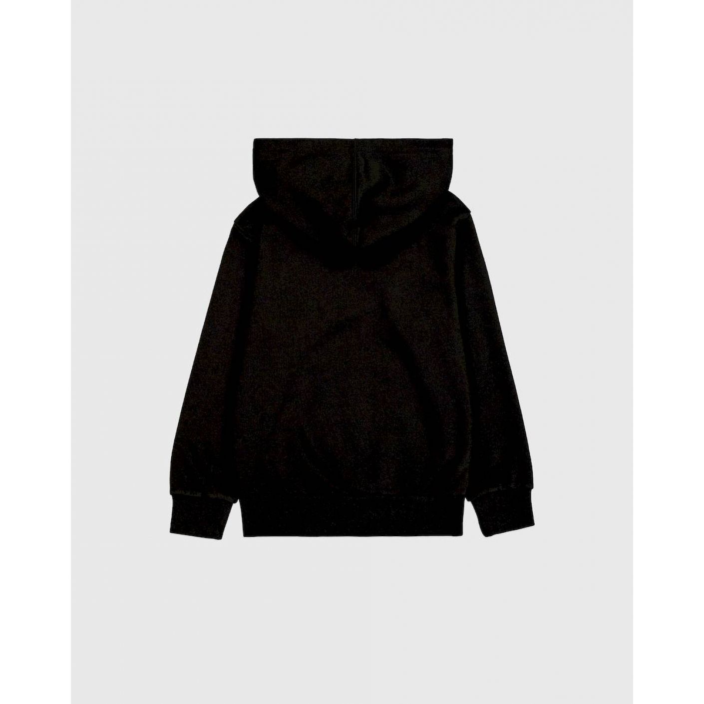 Champion Men's Hoodie