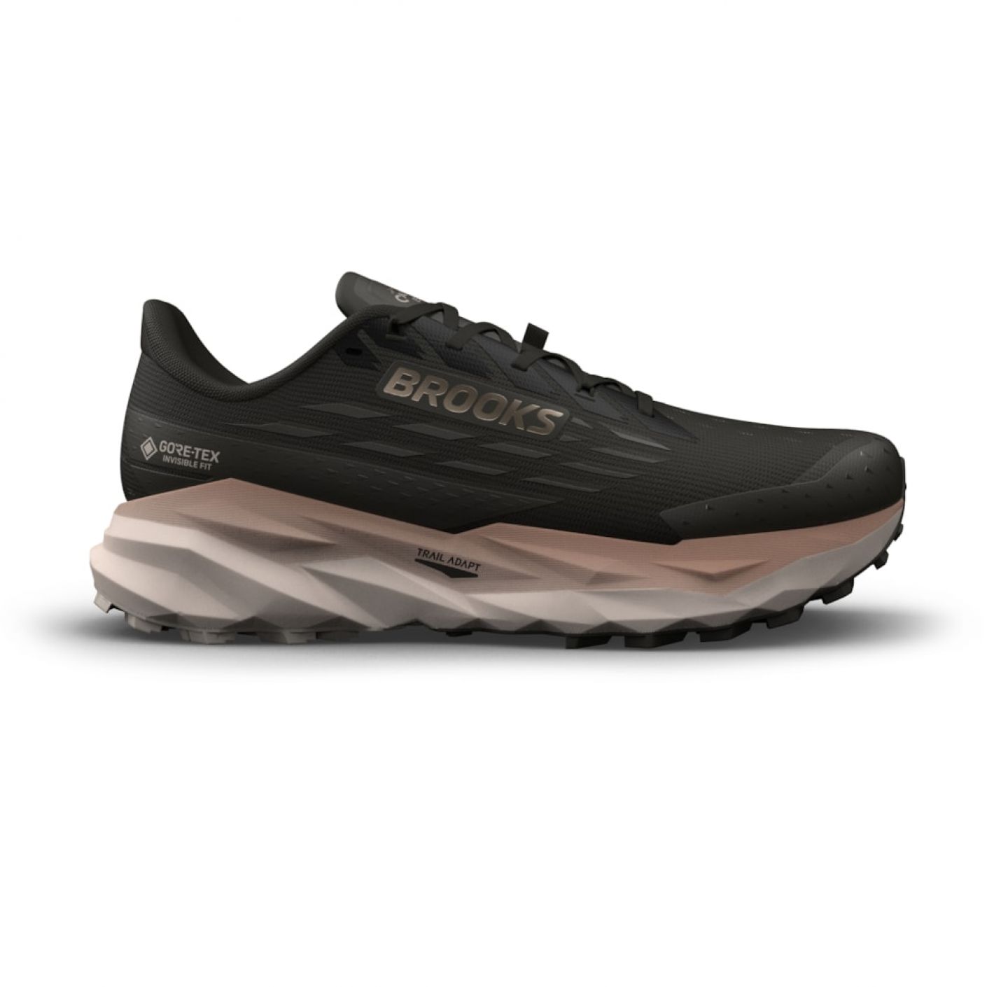 Brooks Cascadia 19 GTX Black/Ebony/Chateau Gray for Men