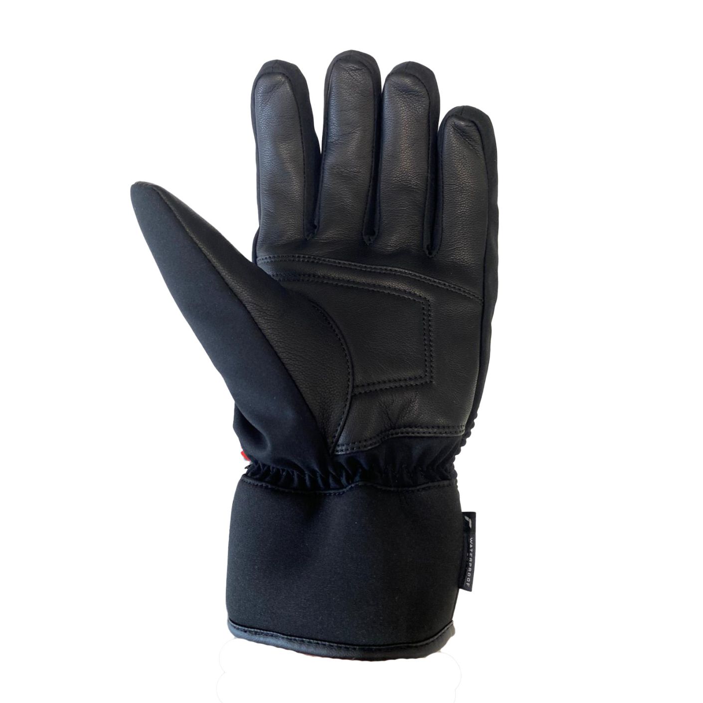Zero RH+ Men's Black Ski Gloves