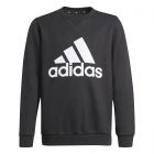 Adidas Boys Essentials Big Logo Sweatshirt