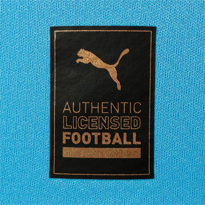 Puma Manchester City Home Jersey Replica