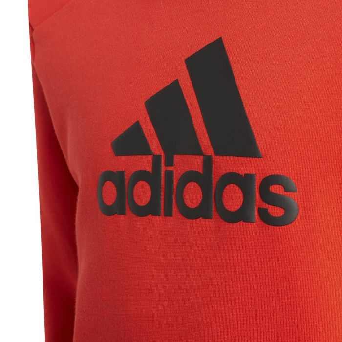Adidas Felpa con cappuccio Logo