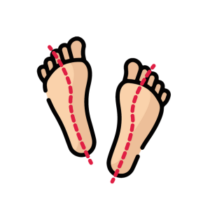 Che Tipo di Appoggio hai?